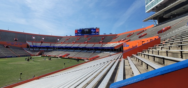 组委会如果 组委会如果