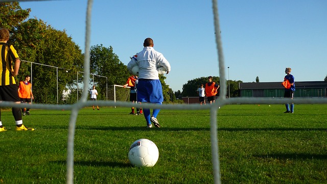 的以色列人 的以色列人