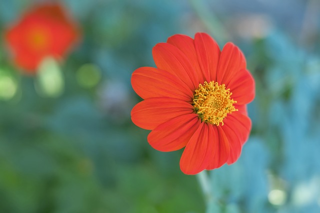 个赛季仅赚 个赛季仅赚