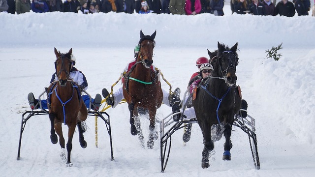 太阳逆袭 太阳逆袭