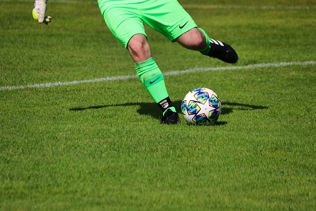 届亚冬会上 届亚冬会上