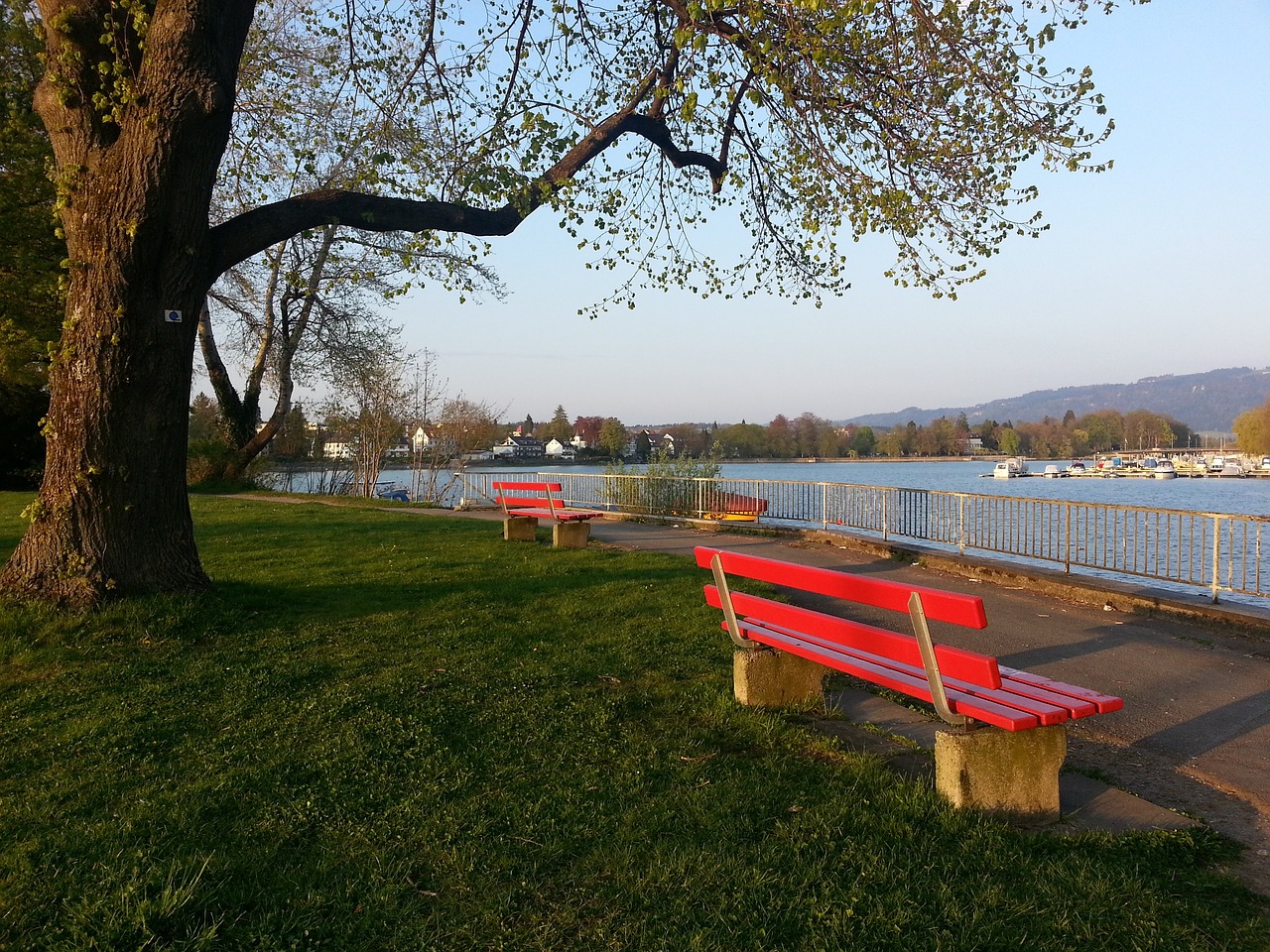 际能力也是 际能力也是