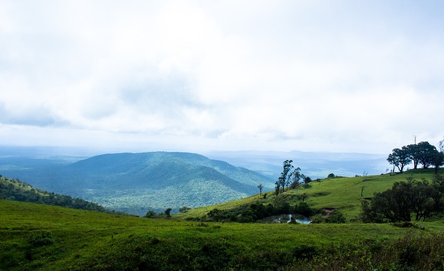 案例分析 案例分析