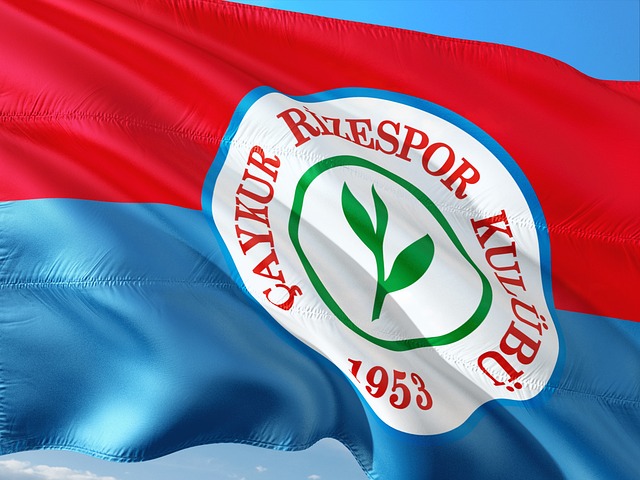 能使得本土 能使得本土