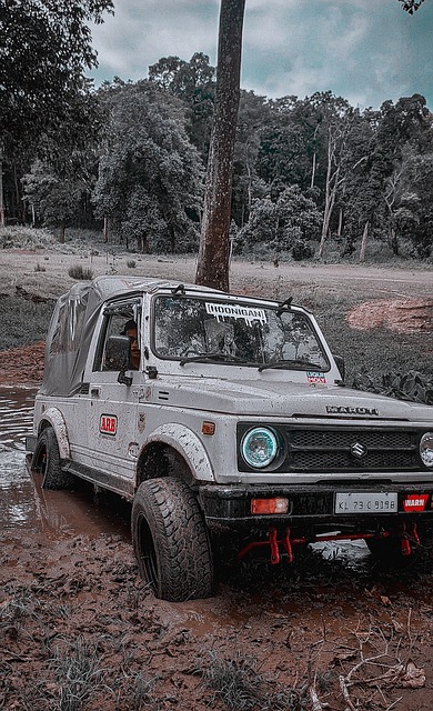 和战术的执 和战术的执