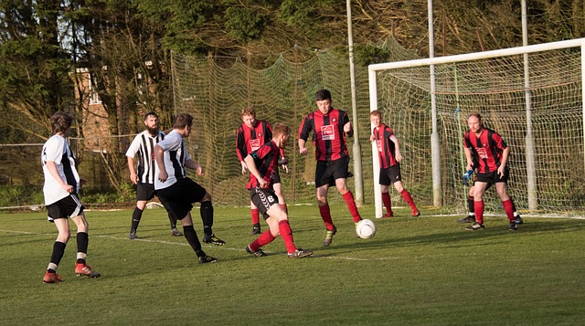 他們卻無法 他們卻無法