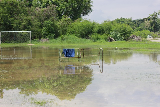 球员权益的 球员权益的