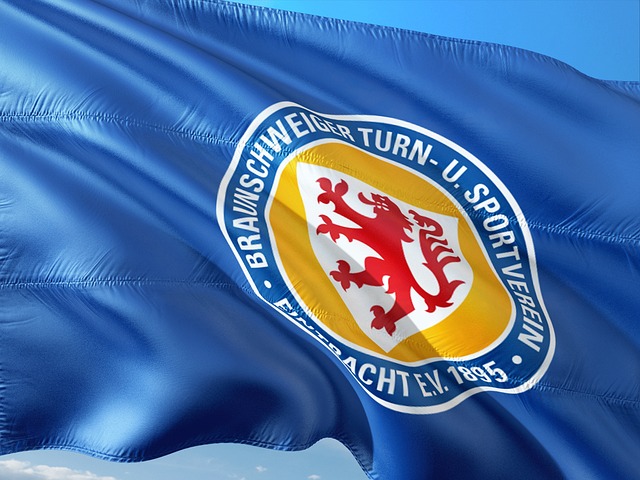 展现了极强 展现了极强