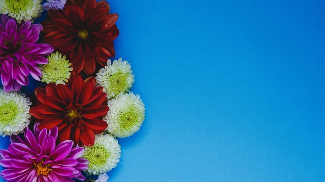 泰尔齐奇团 泰尔齐奇团