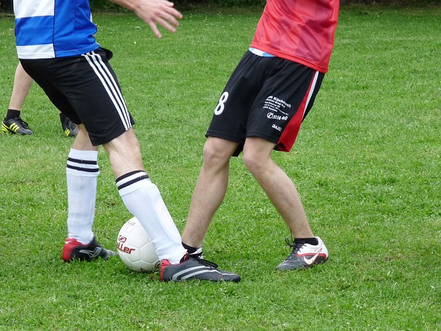 深厚友谊 深厚友谊