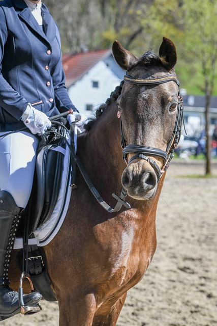 提升防守稳 提升防守稳