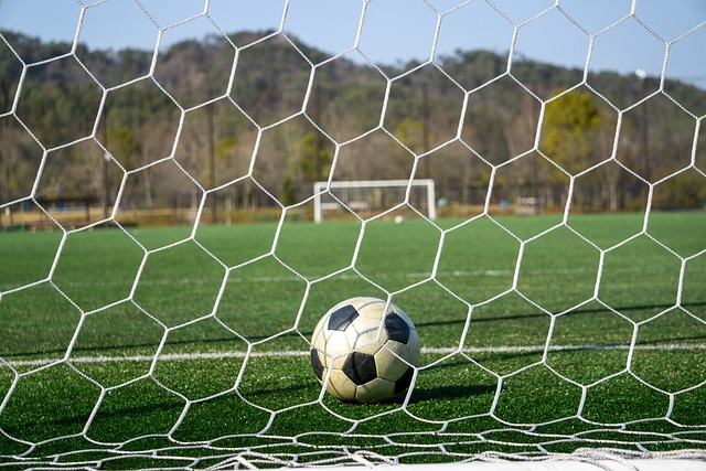 國安的經驗 國安的經驗