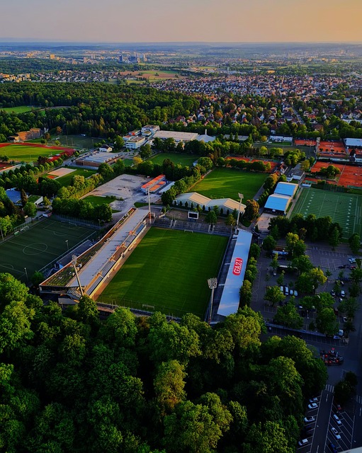 轻球员的关 轻球员的关